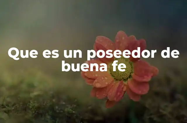 Que es un Poseedor de Buena Fe