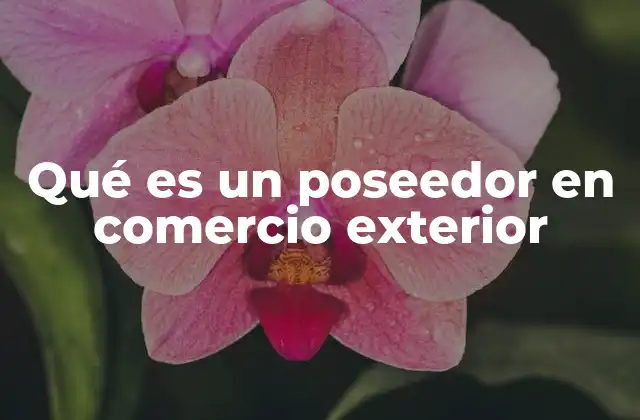 Qué es un Poseedor en Comercio Exterior