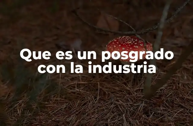 Que es un Posgrado con la Industria