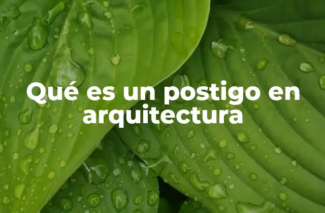 Qué es un Postigo en Arquitectura