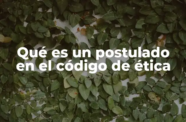 Qué es un Postulado en el Código de Ética