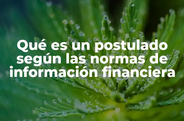 Qué es un Postulado según las Normas de Información Financiera