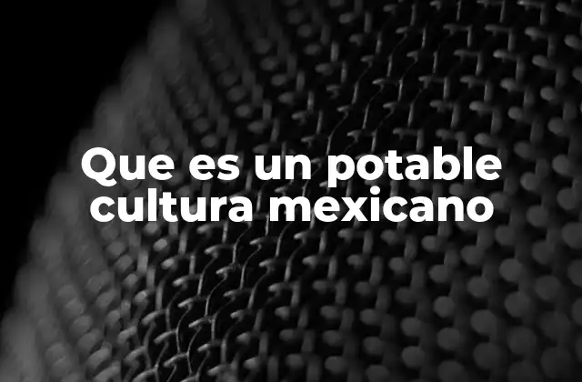 Que es un Potable Cultura Mexicano