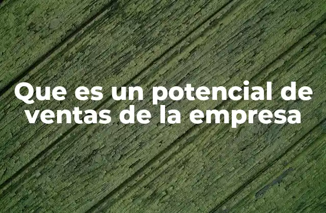 Que es un Potencial de Ventas de la Empresa