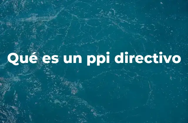 Qué es un Ppi Directivo