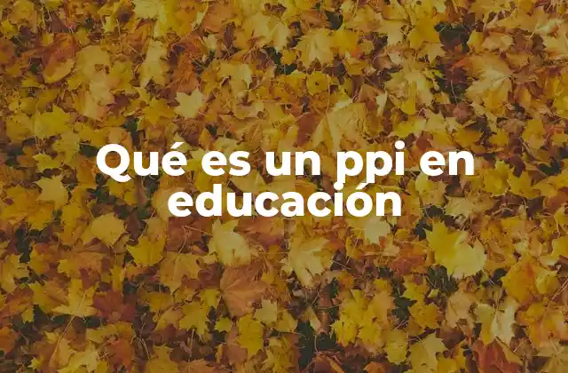 Qué es un Ppi en Educación