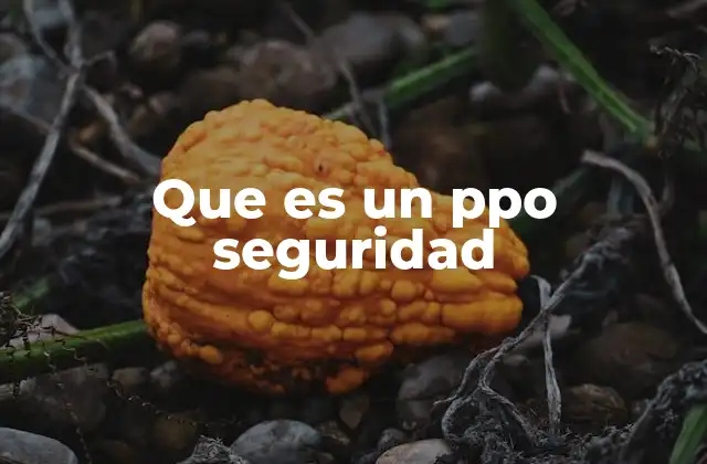 Que es un Ppo Seguridad