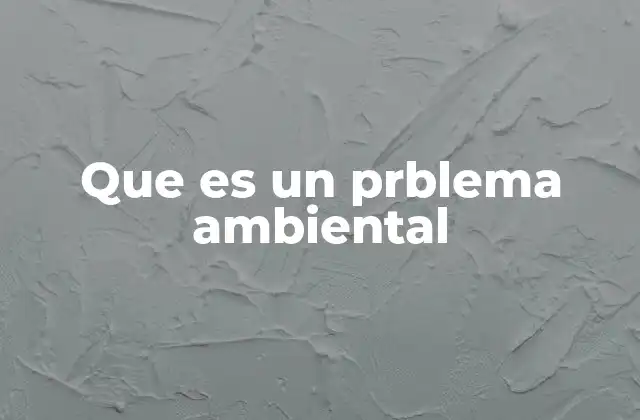 Que es un Prblema Ambiental