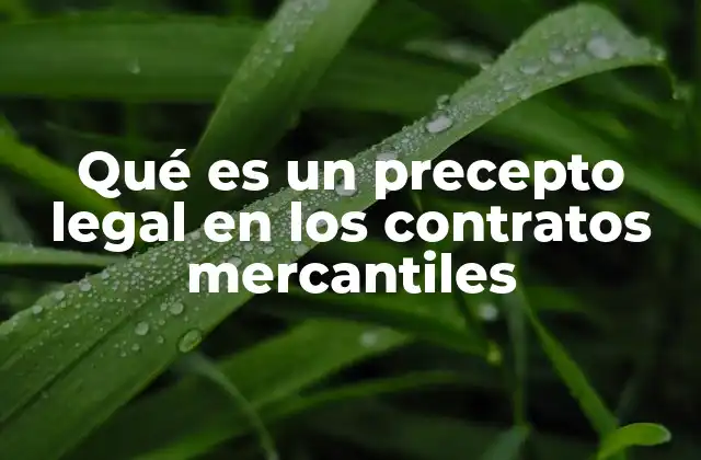 Qué es un Precepto Legal en los Contratos Mercantiles
