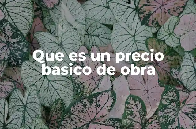 Que es un Precio Basico de Obra