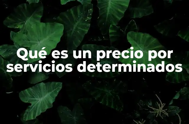 Qué es un Precio por Servicios Determinados 2 Cómo funciona la estructura de precios por servicios