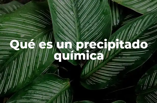 Qué es un Precipitado Química 2 Cómo se forma un precipitado química