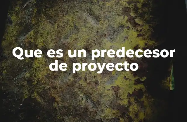 Que es un Predecesor de Proyecto