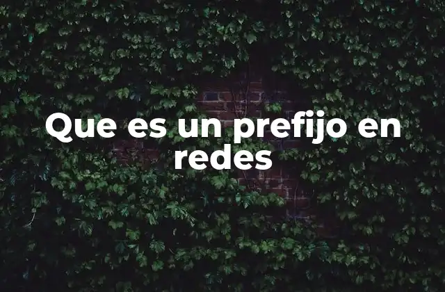 Que es un Prefijo en Redes