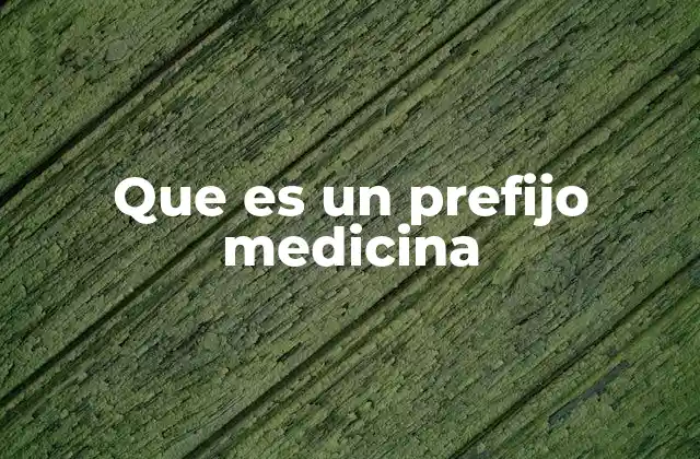Que es un Prefijo Medicina
