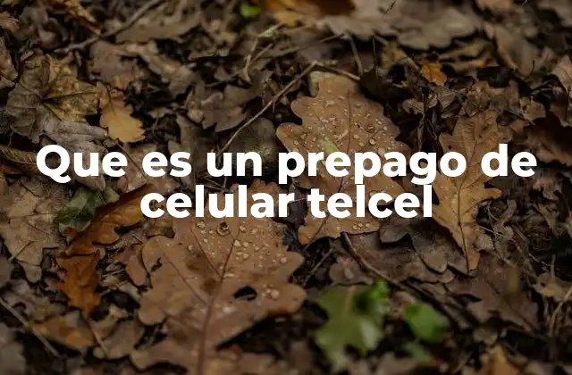 Que es un Prepago de Celular Telcel