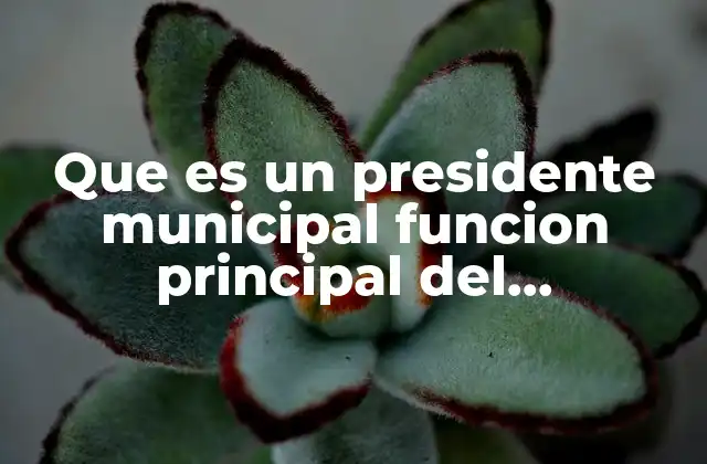Que es un Presidente Municipal Funcion Principal Del Presidente Municipal