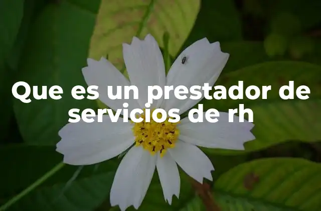 Que es un Prestador de Servicios de Rh