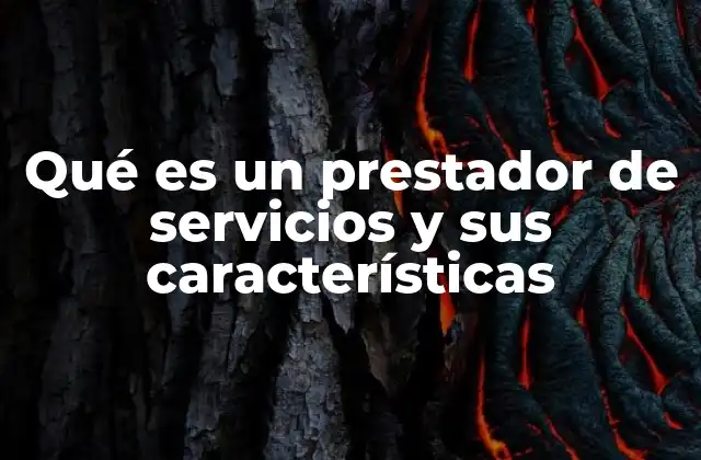 Qué es un Prestador de Servicios y Sus Características