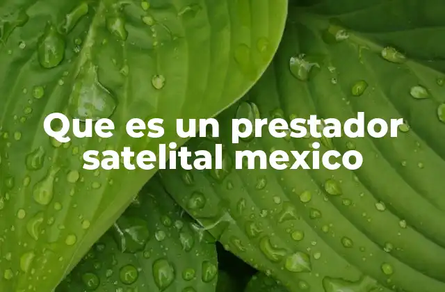 Que es un Prestador Satelital Mexico