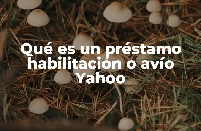 Qué es un Préstamo Habilitación o Avío Yahoo