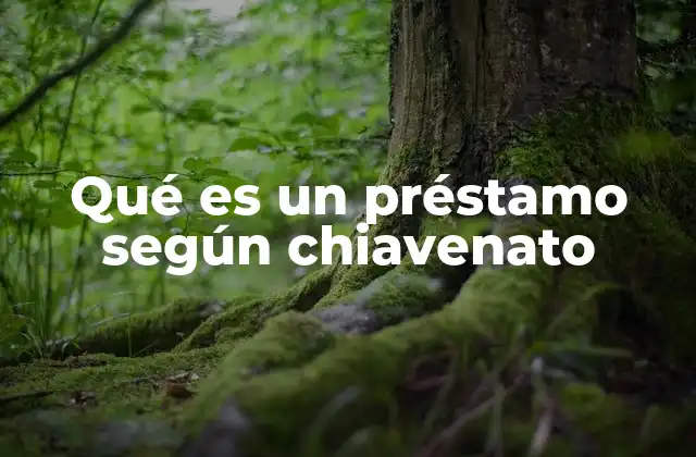 Qué es un Préstamo según Chiavenato