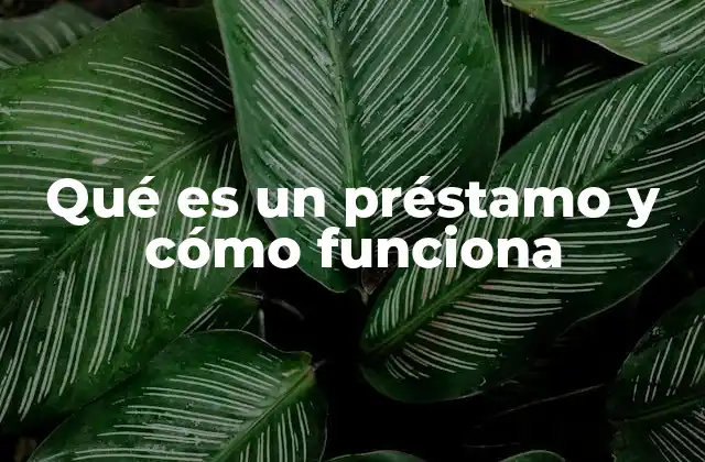 Qué es un Préstamo y Cómo Funciona 2 Cómo se estructura una operación de crédito