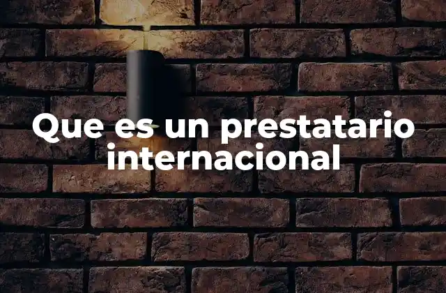 Que es un Prestatario Internacional