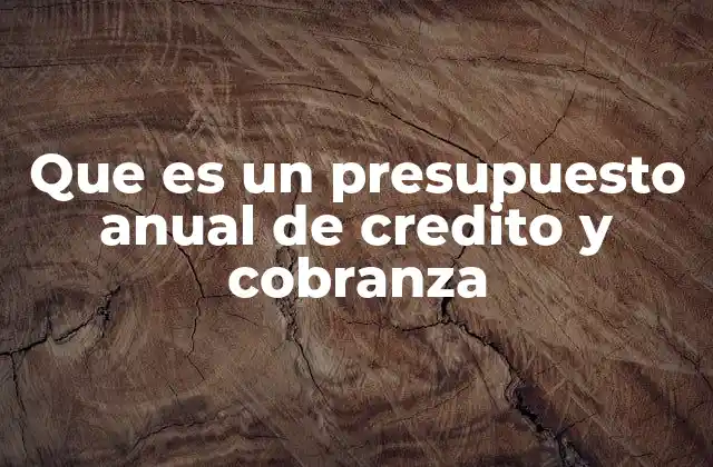Que es un Presupuesto Anual de Credito y Cobranza