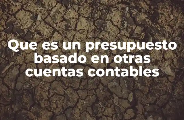 Que es un Presupuesto Basado en Otras Cuentas Contables
