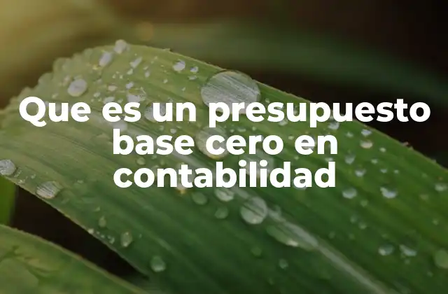Que es un Presupuesto Base Cero en Contabilidad