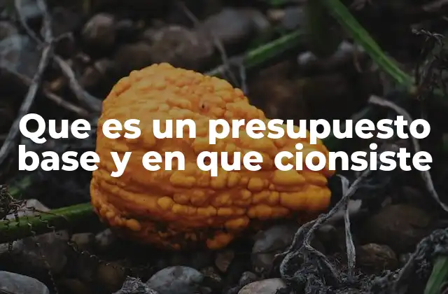 Que es un Presupuesto Base y en que Cionsiste