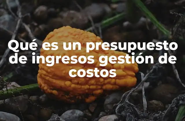 Qué es un Presupuesto de Ingresos Gestión de Costos