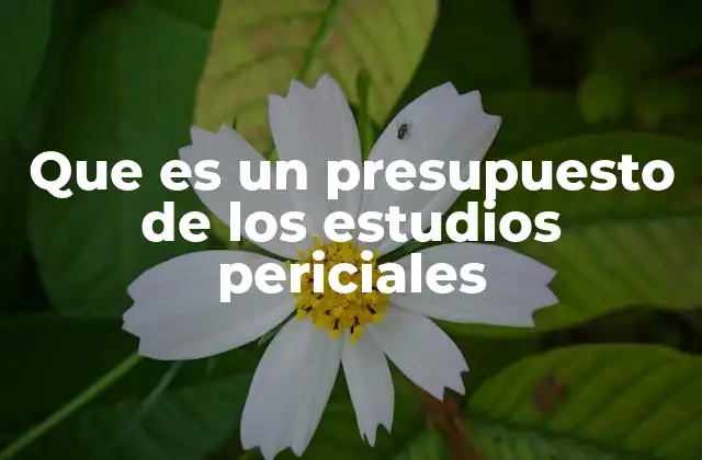 El papel de los presupuestos en la gestión de estudios técnicos