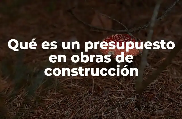 Qué es un Presupuesto en Obras de Construcción