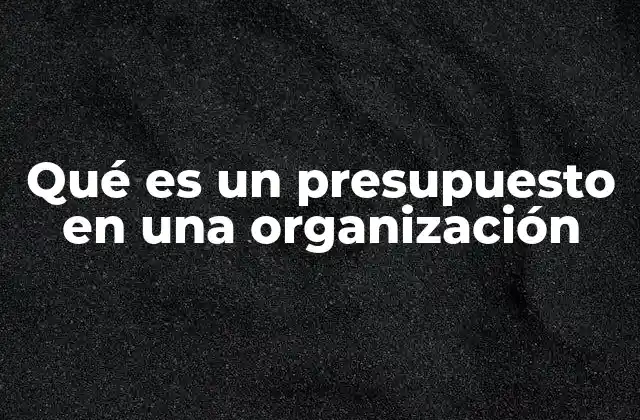 Qué es un Presupuesto en una Organización