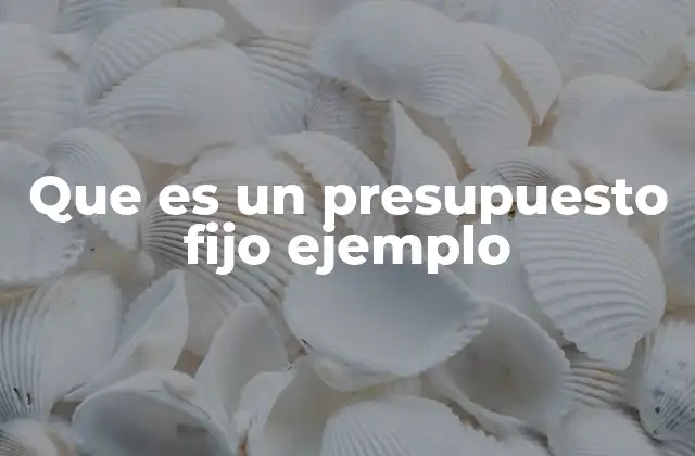 Que es un Presupuesto Fijo Ejemplo