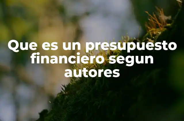 Que es un Presupuesto Financiero Segun Autores