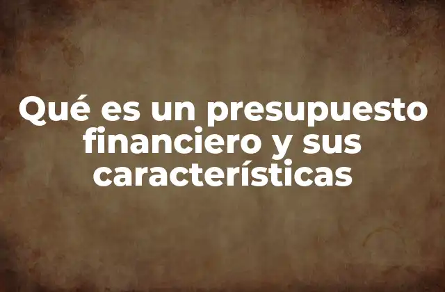 Qué es un Presupuesto Financiero y Sus Características