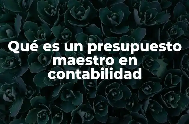Qué es un Presupuesto Maestro en Contabilidad