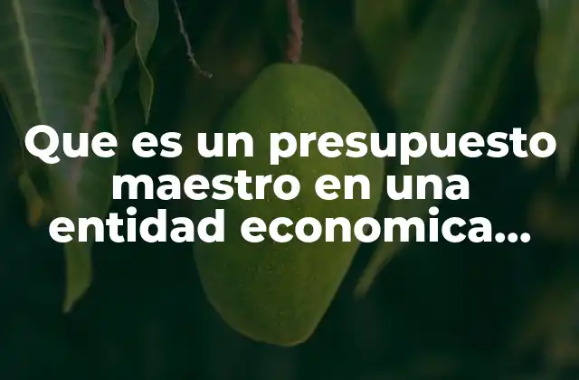 Que es un Presupuesto Maestro en una Entidad Economica Industrial