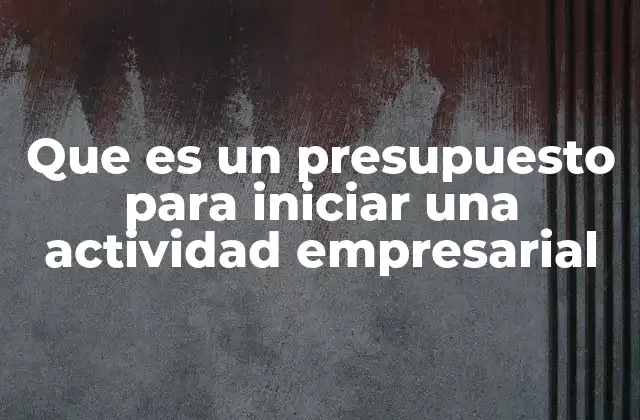 Que es un Presupuesto para Iniciar una Actividad Empresarial