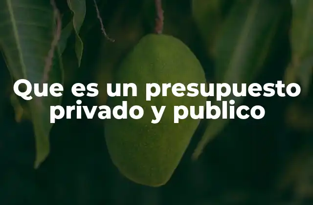 Que es un Presupuesto Privado y Publico