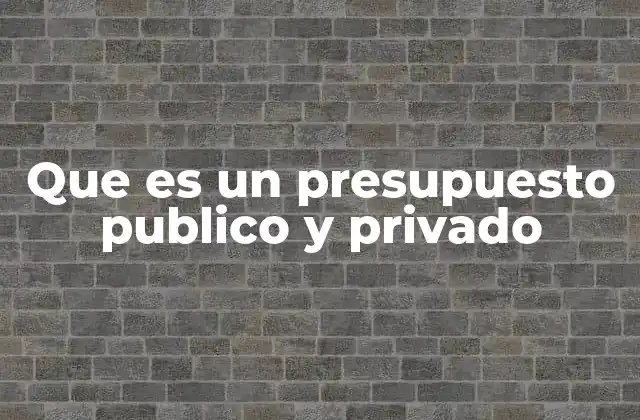 Que es un Presupuesto Publico y Privado