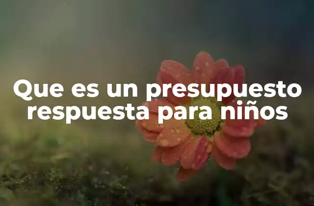 Que es un Presupuesto Respuesta para Niños