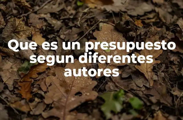 Que es un Presupuesto Segun Diferentes Autores