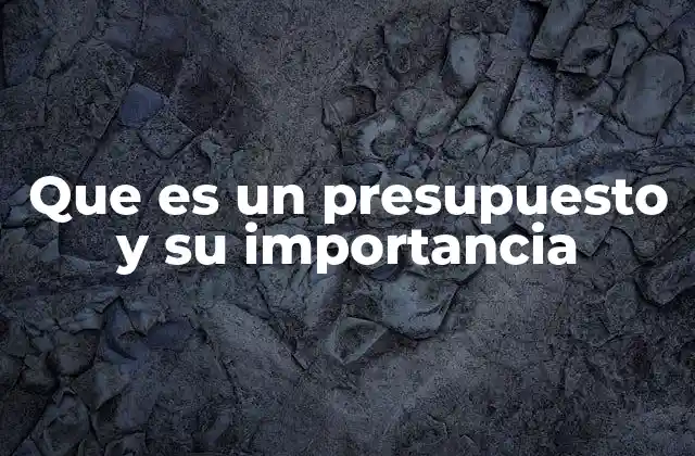 Que es un Presupuesto y Su Importancia