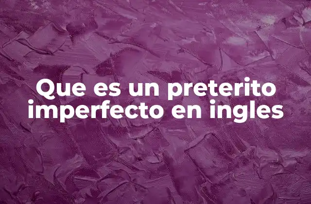 Que es un Preterito Imperfecto en Ingles