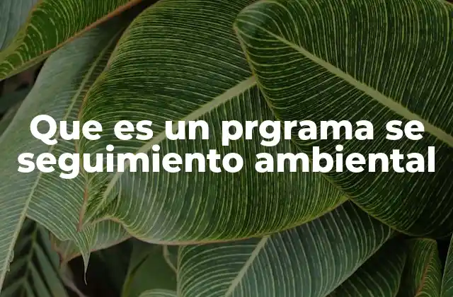 Que es un Prgrama Se Seguimiento Ambiental