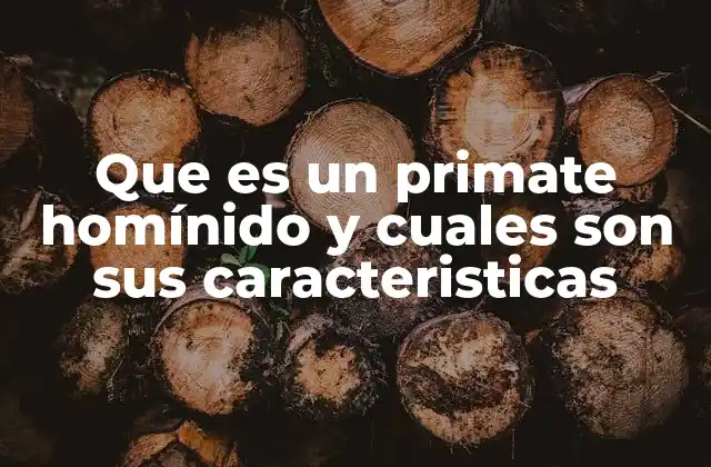 Que es un Primate Homínido y Cuales Son Sus Caracteristicas